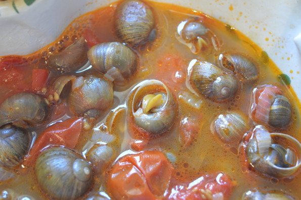  chiocciole o lumache di terra