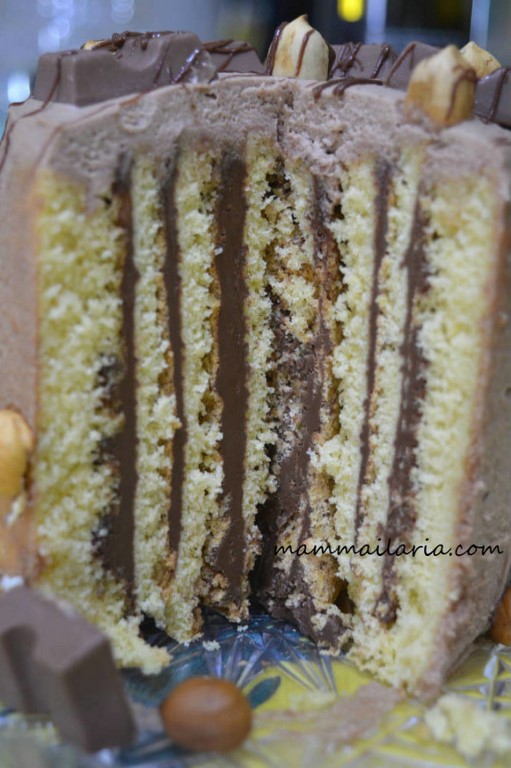 torta di compleanno senza glutine