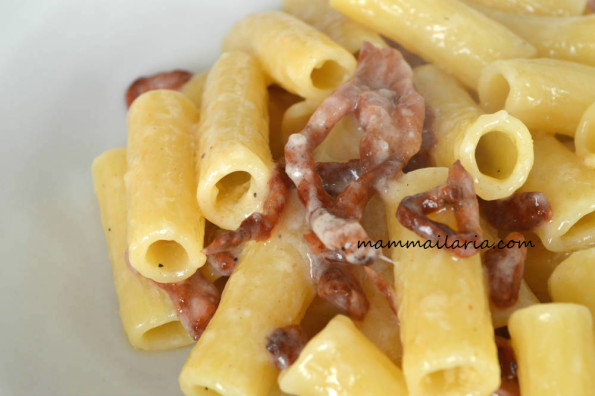 rigatoni alla gricia