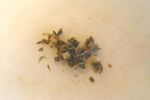 1b