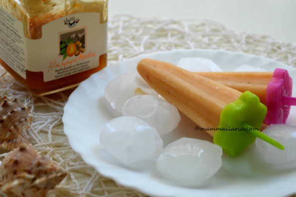 ghiaccioli con composta di albicocche