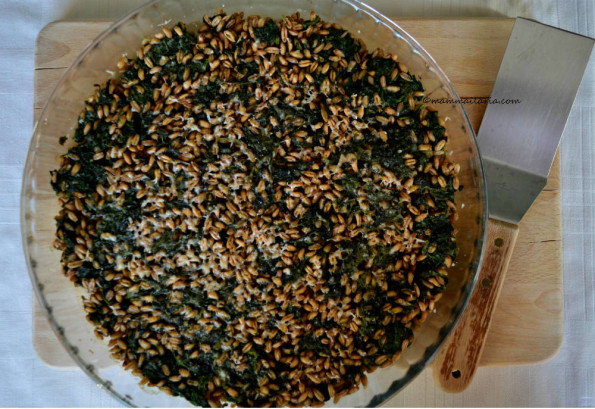 tortino di farro e spinaci