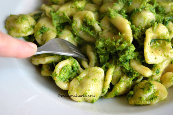 orecchiette alle cime di rapa