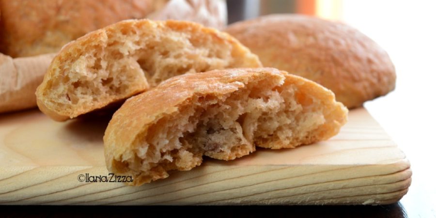 panini al tonno